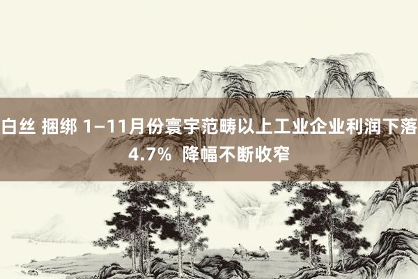 白丝 捆绑 1—11月份寰宇范畴以上工业企业利润下落4.7%  降幅不断收窄