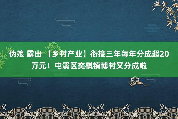 伪娘 露出 【乡村产业】衔接三年每年分成超20万元！屯溪区奕棋镇博村又分成啦