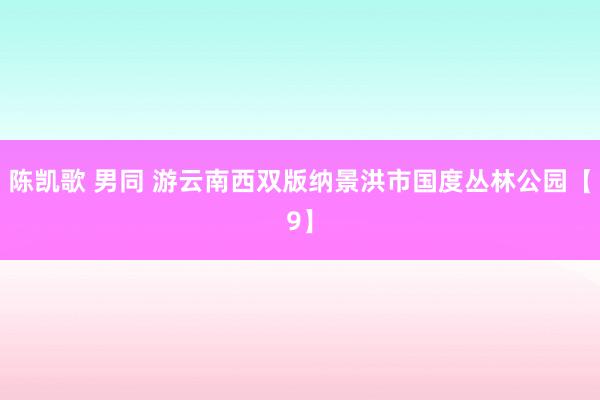 陈凯歌 男同 游云南西双版纳景洪市国度丛林公园【9】