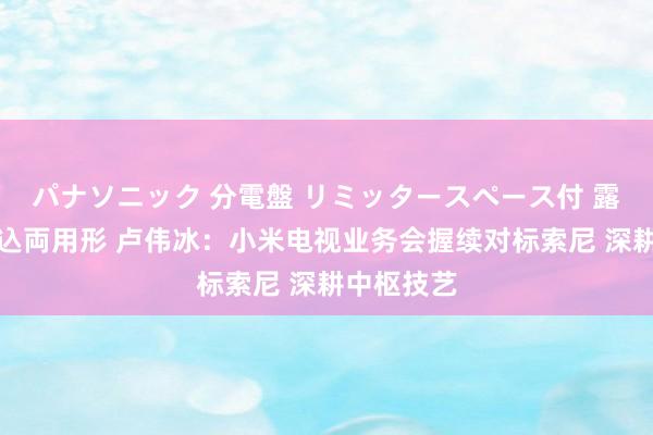 パナソニック 分電盤 リミッタースペース付 露出・半埋込両用形 卢伟冰：小米电视业务会握续对标索尼 深耕中枢技艺