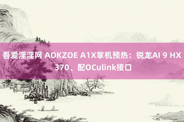 吾爱淫淫网 AOKZOE A1X掌机预热：锐龙AI 9 HX 370、配OCulink接口