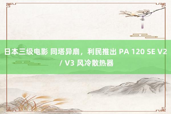 日本三级电影 同塔异扇，利民推出 PA 120 SE V2 / V3 风冷散热器