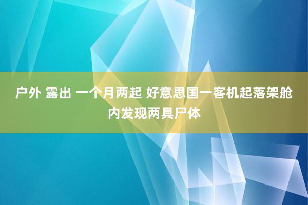 户外 露出 一个月两起 好意思国一客机起落架舱内发现两具尸体