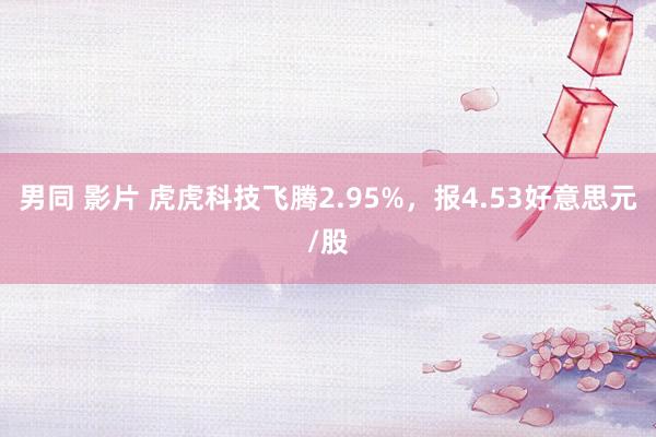 男同 影片 虎虎科技飞腾2.95%，报4.53好意思元/股