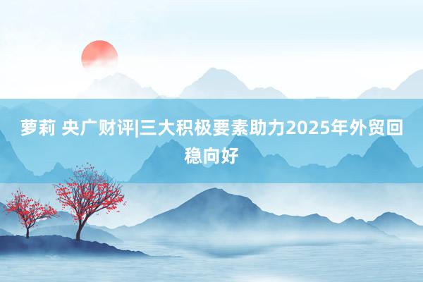 萝莉 央广财评|三大积极要素助力2025年外贸回稳向好